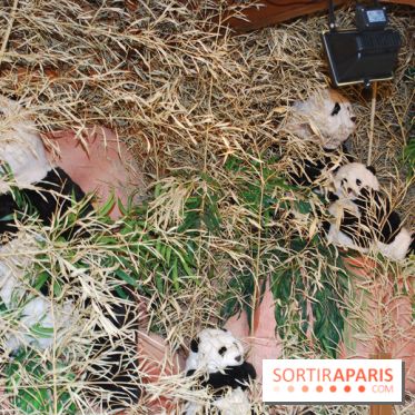 Marché de Noël des Champs-Elysées 2013