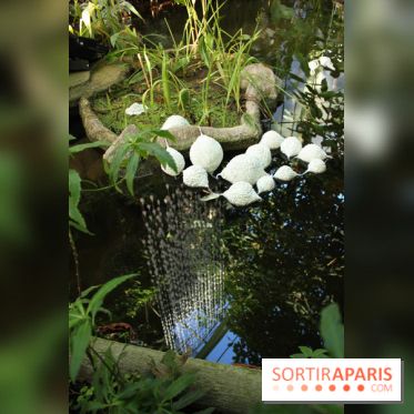 Noces Végétale au Jardin des Plantes : ilots
