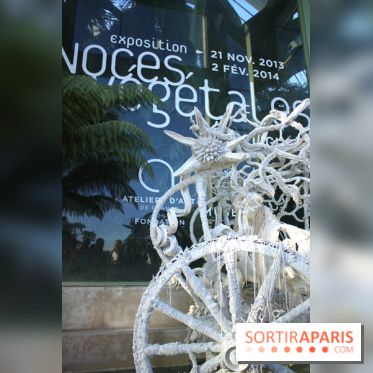 Noces Végétale au Jardin des Plantes : la calèche