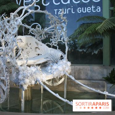 Noces Végétale au Jardin des Plantes : la caleche