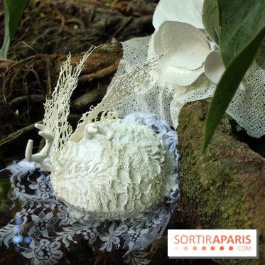 Noces Végétale au Jardin des Plantes : ilots