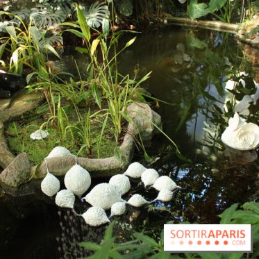 Noces Végétale au Jardin des Plantes : ilots