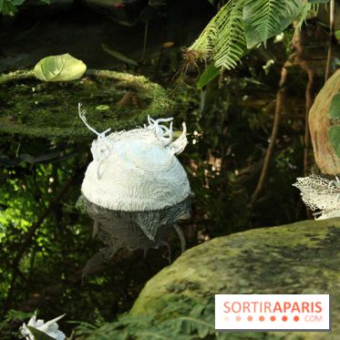 Noces Végétales au Jardin des Plantes
