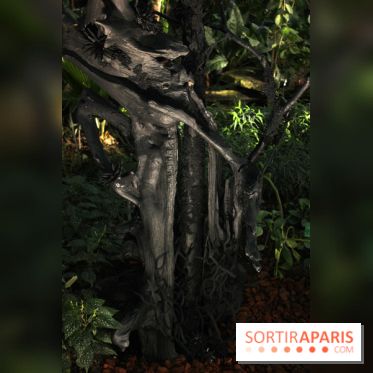 Noces Végétales au Jardin des Plantes : le marié