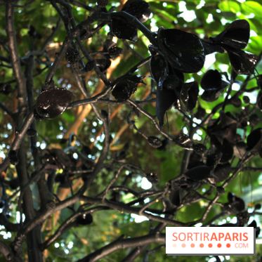 Noces Végétales au Jardin des Plantes : le marié
