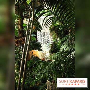 Noces Végétales au Jardin des Plantes