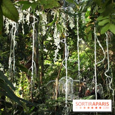 Noces Végétales au Jardin des Plantes