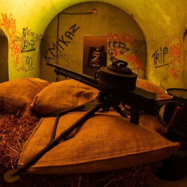 The Victorious Shelter by We Are The Oracle