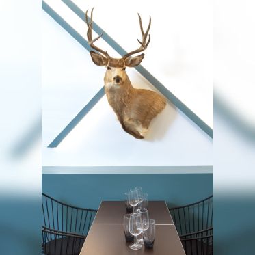 Jeanne b : le cerf de la table d'hôte