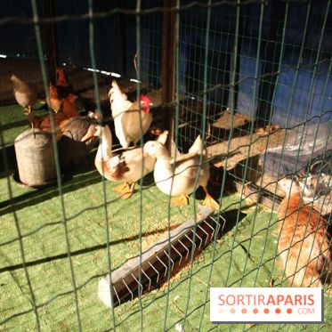 Les Enchanteurs de Noël au Château de Vincennes