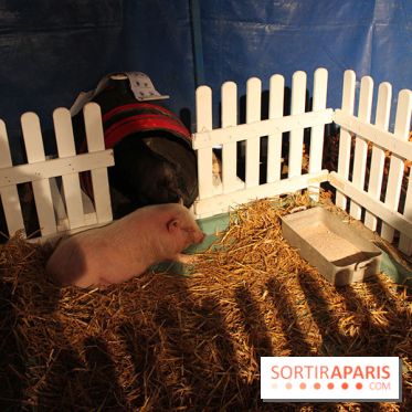 Les Enchanteurs de Noël au Château de Vincennes