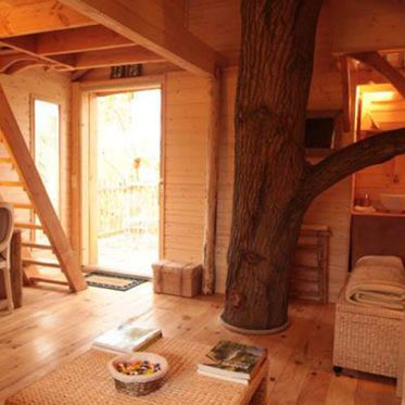 Les cabanes dans les arbles du Moulin