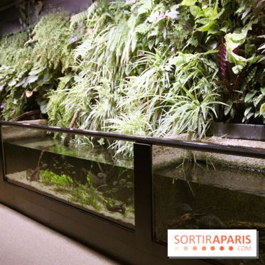 Aquarium de la Porte Dorée à Paris