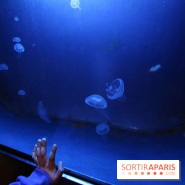 Aquarium de la Porte Dorée à Paris