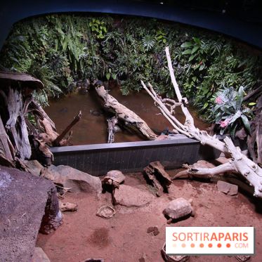 Aquarium de la Porte Dorée à Paris