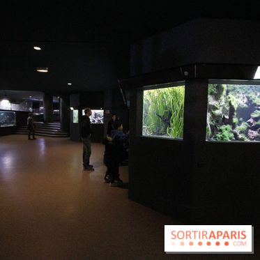 Aquarium de la Porte Dorée à Paris