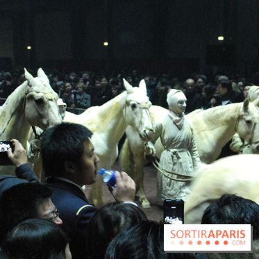 Nuit de Chine au Grand Palais
