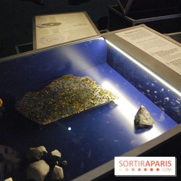 Exposition Nuit au Muséum Natinaol d'Histoire Naturelle