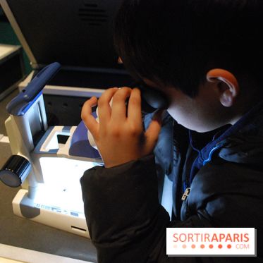 Exposition Nuit au Muséum Natinaol d'Histoire Naturelle