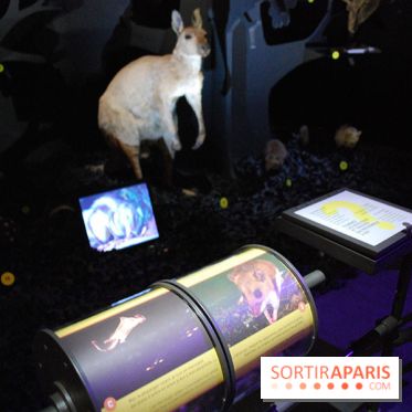 Exposition Nuit au Muséum Natinaol d'Histoire Naturelle