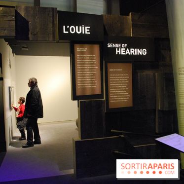 Exposition Nuit au Muséum Natinaol d'Histoire Naturelle