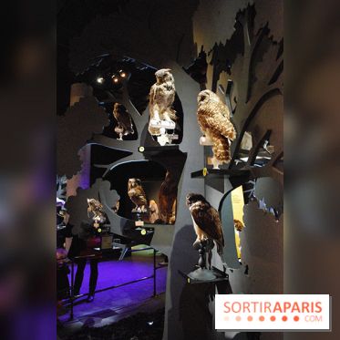 Exposition Nuit au Muséum Natinaol d'Histoire Naturelle