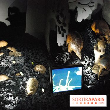 Exposition Nuit au Muséum Natinaol d'Histoire Naturelle