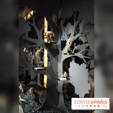 Exposition Nuit au Muséum Natinaol d'Histoire Naturelle