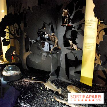 Exposition Nuit au Muséum Natinaol d'Histoire Naturelle