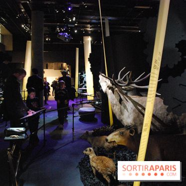 Exposition Nuit au Muséum Natinaol d'Histoire Naturelle