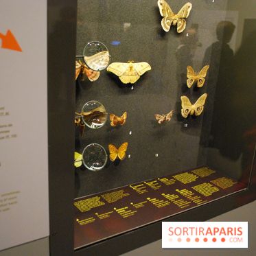 Exposition Nuit au Muséum Natinaol d'Histoire Naturelle