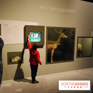 Exposition Nuit au Muséum Natinaol d'Histoire Naturelle