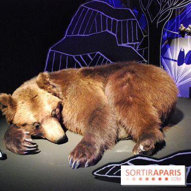 Exposition Nuit au Muséum Natinaol d'Histoire Naturelle