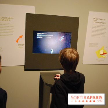 Exposition Nuit au Muséum Natinaol d'Histoire Naturelle