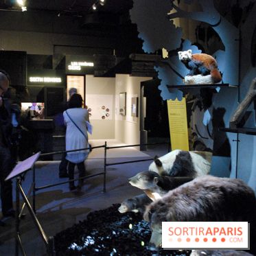 Exposition Nuit au Muséum Natinaol d'Histoire Naturelle