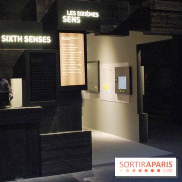 Exposition Nuit au Muséum Natinaol d'Histoire Naturelle