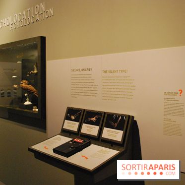 Exposition Nuit au Muséum Natinaol d'Histoire Naturelle