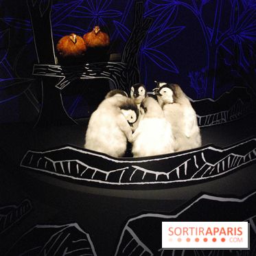 Exposition Nuit au Muséum Natinaol d'Histoire Naturelle