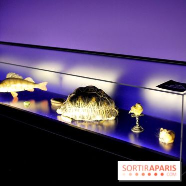 Exposition Nuit au Muséum Natinaol d'Histoire Naturelle