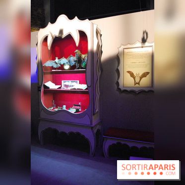 Exposition Nuit au Muséum Natinaol d'Histoire Naturelle