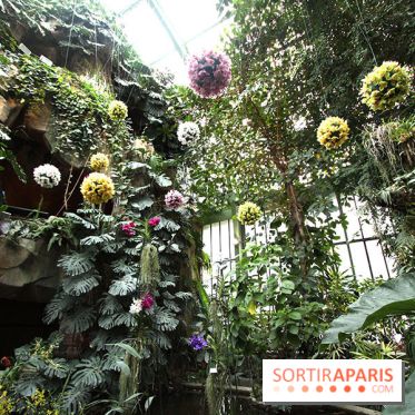 Mille & une orchidées 2014, l'exposition au Jardin des plantes