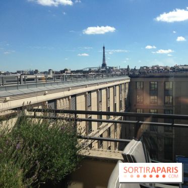 Terrasse du Puple Bar de l'Hôtel du Collectionneur
