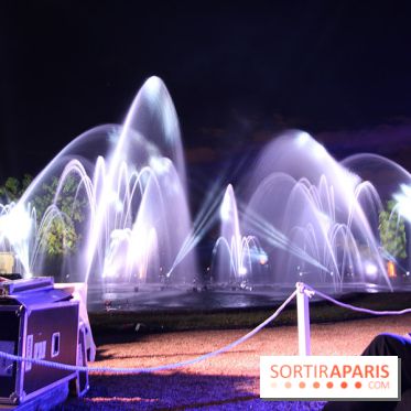 La Fête au Domaine de Saint Cloud, le spectacle de son et lumières