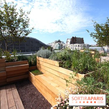Molitor : terrasse rooftop