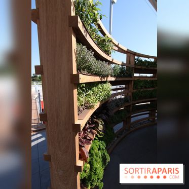 Molitor : terrasse rooftop, mur d'herbes aromatiques