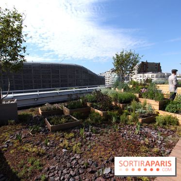 Molitor : jardins de la terrasse