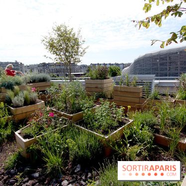 Molitor : terrasse rooftop, jardins