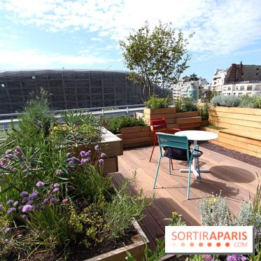 Molitor : terrasse rooftop, jardins
