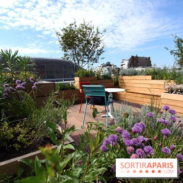 Molitor : terrasse rooftop, jardins