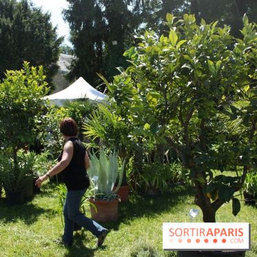 Journées de la Rose 2014